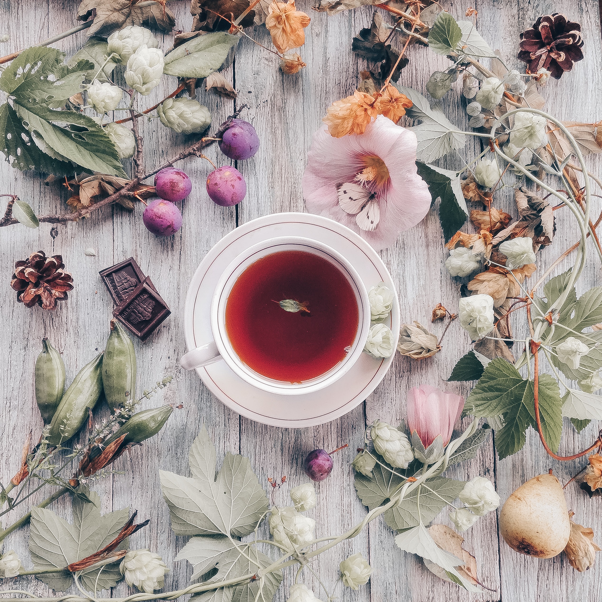 The Hidden Benefits of Tea Remedies: What you need to know